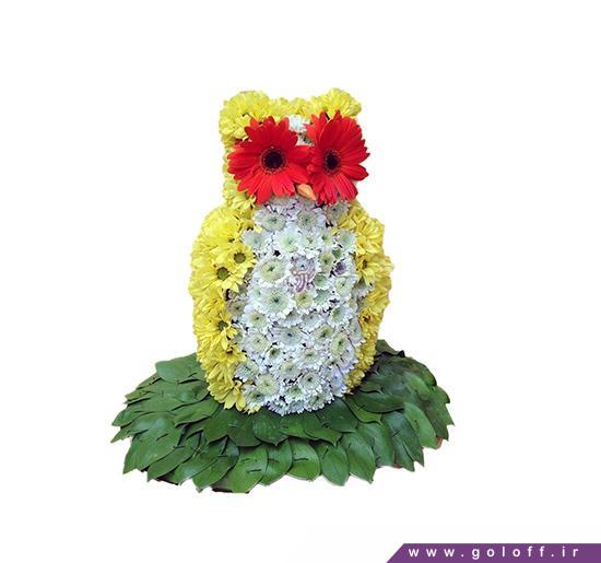 سفارش اینترنتی گل - عروسک گل دالاس - Flower Toy | گل آف